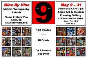 Opening For David Vine Nine By Vine Photo Exhibit Opening For David Vine Nine By Vine Photo Exhibit